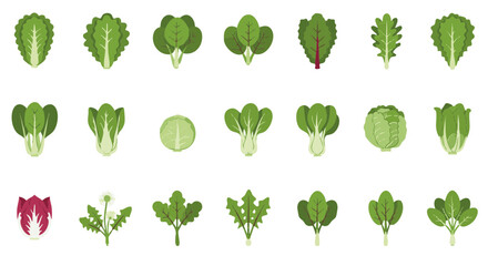 Leafy Greens and Salad Vegetables Flat Icons Set