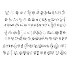 Vector collection of outline sea shells, driftwood and plants drawn in minimal line art style.
