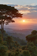 capture breathtaking sunset in tropical rainforest featuring isolated tree against serene backdrop