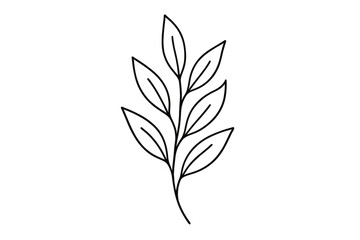 Fototapeta premium Minimalist botanical leaf line art. Hand drawn vector plant branch. Elegant floral foliage sketch for natural design. Organic, eco, simple icon for logo or wedding.