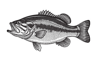 largemouth bass fish woodcut engraving vector illustration