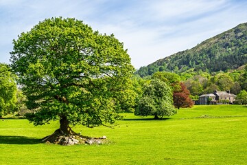 Fell Foot Park and Windermere Lake, Lake District, Cumbria, England