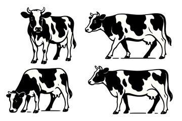Set of black and white cows in various poses. Vector illustration collection of farm animals. Cattle for dairy and beef industry. Standing, walking, grazing cow icons.