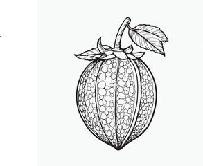 hand drawn vector illustration of a snake fruit
