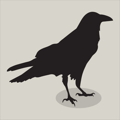 Crow, raven bird silhouette icon isolated illustration