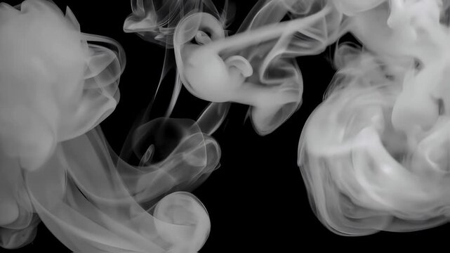 Surreal double exposure visual showing thick white smoke rising from one side pitch black background ideal alpha channel video