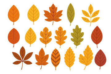 Collection of autumn leaves vector illustrations. Set of diverse fall foliage shapes and patterns. Orange, yellow, red seasonal icons for nature themed design projects.