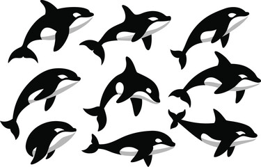 vector set of dolphins silhouettes