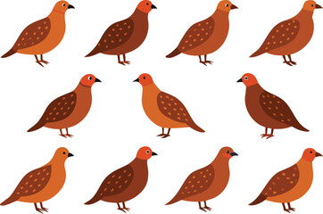 set of birds icons