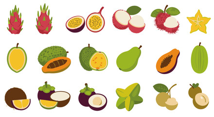 Tropical and Exotic Fruits Flat Icons Isolated