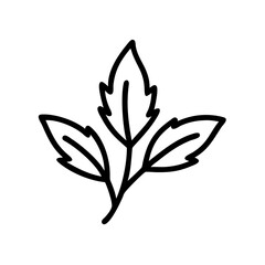 Leafy Herb Illustration for Botanical Education, Herbal Medicine Websites, Plant Guides, and Natural Remedy Blogs