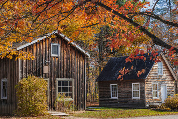 Rustic wooden cabins surrounded by vibrant autumn foliage in a peaceful countryside setting, bathed in warm fall sunlight.