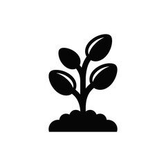 A black and white image of a plant