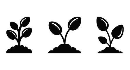 A black and white image of a plant