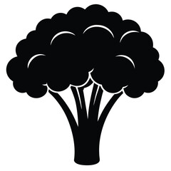 Nutritionist element isolated broccoli on white background