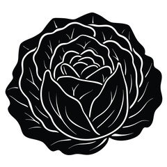 Nutritionist element isolated cabbage on white background