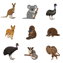 Fototapeta premium Colorful illustrated set of iconic Australian animals, including kangaroo, koala, dingo, and platypus.