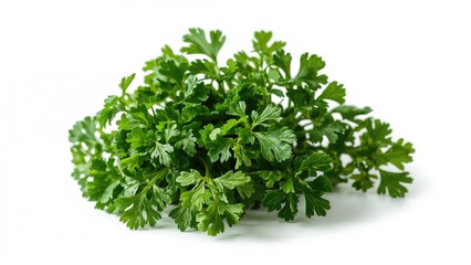 Obraz premium Crisp fresh parsley on a plain white background with thorough focus