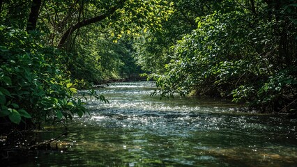 Naklejka premium A Soft Watercourse Winds Through Rich Greenery, Forming a Serene Natural Vista