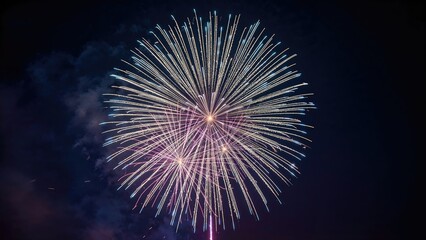 Fototapeta premium Colorful bursts of fireworks against the night backdrop