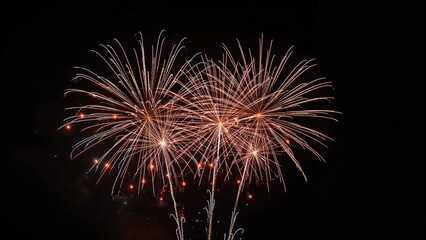 Obraz premium Colorful fireworks shine vividly on a black canvas during holiday and New Year celebrations