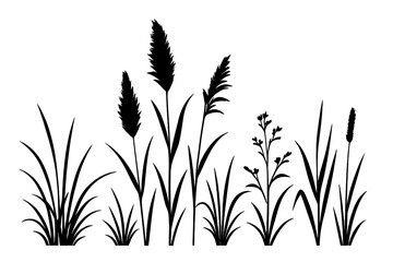 Black silhouettes of grass, reeds, and wild plants. Vector collection of isolated botanical elements. Nature design set for creating meadow, field, swamp, or lawn borders.