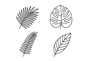 Tropical leaves line art vector set. Botanical collection for design with palm, monstera, and fern. Jungle foliage icons. Isolated minimalist outline illustration.