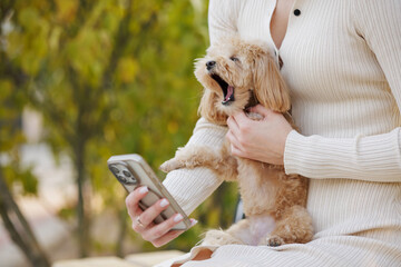 Woman Relaxing with Small Dog and Smartphone Outdoors, Pet Lifestyle and Modern Technology Concept