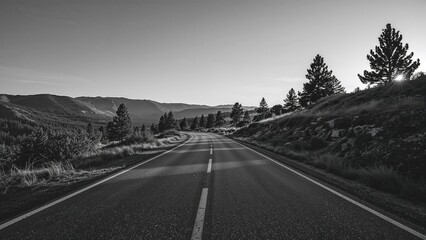 Captivating monochrome photo of a pathway in a breathtaking landscape