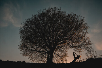 silhouette of a woman doing yoga next to a large tree
