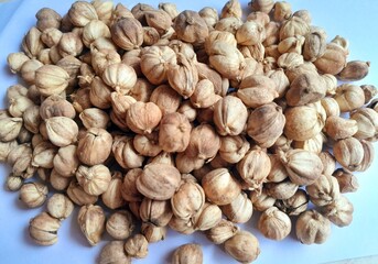 close up and texture of a pile of Javanese cardamom on a white background