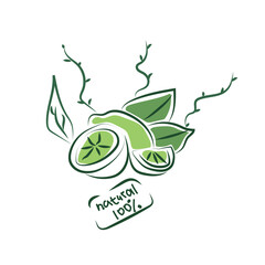 Vector doodle lemon icon. Vector doodle lemon logo. Only healthy food. This illustration can also be used as a sticker. The leaves emphasize the naturalness of the product.
