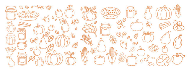 Hand-Drawn Autumn Harvest Pattern with Pumpkins, Apples, Pears, Jars, and Seasonal Fruits for Fall Festival Design