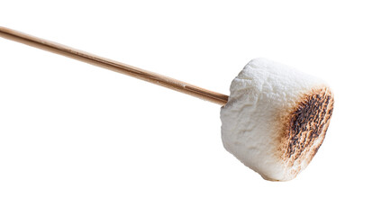 Toasted marshmallow on a stick