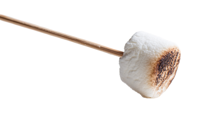 Toasted marshmallow on a stick