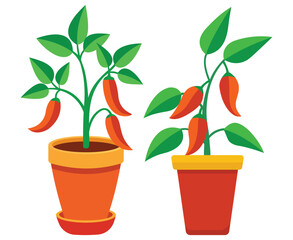 Two Potted Pepper Plants with Ripe Peppers and Green Leaves Illustration
