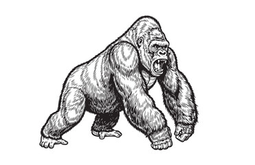 Intense angry gorilla, perfect for powerful and wild animal designs.