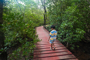 Happy little boy enjoy travel in mangrove forest wooden walk way outdoor