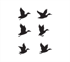 Fototapeta premium vector silhouettes of birds