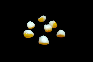 golden egg on white background