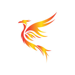 Obraz premium bird of paradise