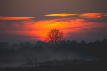 Serene sunset over misty landscape.