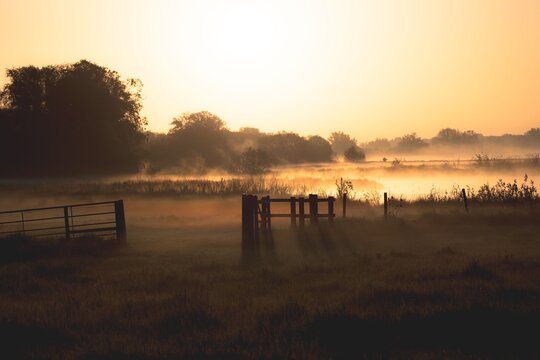 Serene sunrise over misty rural landscape.