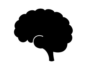 Human brain silhouette, a symbol of intelligence, thought, and cognitive function