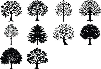 Fototapeta premium set of trees silhouettes