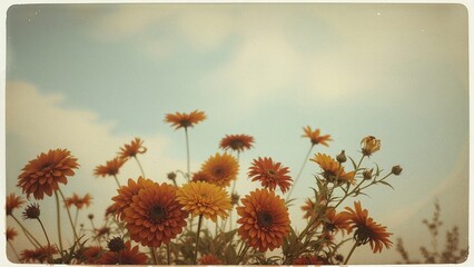 Classic photo showcasing elegant flowers
