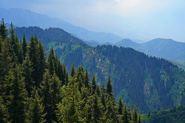 Ile-Alatau National Park. The Oi-Karagai Gorge. Mountainous area with different vegetation. The view from the drone.