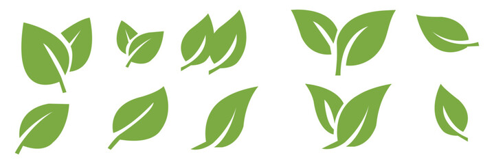 Green leaf icons set. Leaves icon on transparent background. Collection green leaf. Elements design for natural, eco, vegan, bio labels.