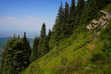 Ile-Alatau National Park. The Oi-Karagai Gorge. Mountainous area with different vegetation. The view from the drone.
