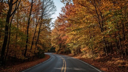 Obraz premium Scenic autumn trail lined with bright leaves, illuminated by warm sunlight that enriches the diverse color spectrum, offering a comfortable and inviting fall ambiance.